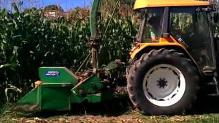 Renault Ceres 355  Silagem de Milho  Corn Silage Parte III [upl. by Adnilram]