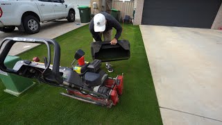 Bentgrass Golf Green  Mow and Fertilise [upl. by Jacobah]