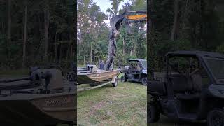 2024 South Carolina Alligator Hunt pulling alligator out of boat Lisa Davey [upl. by Ihsorih548]