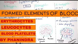 FORMED ELEMENTS OF BLOOD  ERYTHROCYTES  LEUCOCYTES  BLOOD PLATELETS  BY PHANINDRA GUPTHA [upl. by Elrebma915]