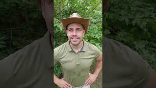 🌿🤠🌳 better soil pozzolan sand compost mix tips advice plants tree garden nature [upl. by Dinin461]