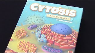 Cytosis PART 1  Overview amp Setup [upl. by Ocsisnarf284]