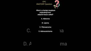 CPC Exam Anatomy question Lets learn anatomy togethershorts [upl. by Bonucci]