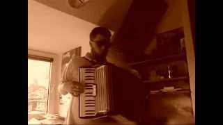 Monkey Island 2  Woodtick  accordion [upl. by Hertberg]