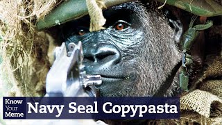 Whats the Story Behind the Famous Navy Seal Copypasta  Shorts [upl. by Moore315]