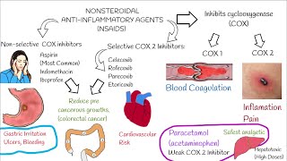 Understanding NonSteroidal AntiInflammatory Drugs NSAIDs in 3 minutes [upl. by Annil]