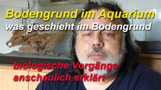 Bodengrund im Aquarium Was bewirkt der Bodengrund bei Pflanzen Biologische Prozesse im Bodengrund [upl. by Tannenbaum]