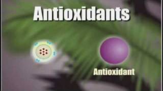 How Antioxidants Work [upl. by Basset106]