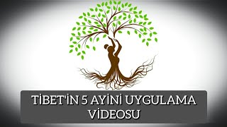 quotTibetin 5 Ayini Uygulama Videosuquot  Harika BirCan [upl. by Yrocal]