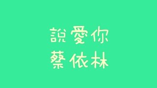 蔡依林  說愛你【歌詞】 [upl. by Chaddie815]