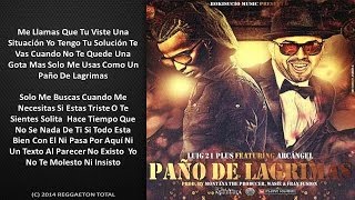 Tu Paño De Lagrimas  LuiG 21 Plus Ft Arcangel Video Letra Reggaetn 2014 [upl. by Selyn]