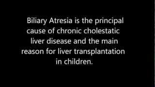 Biliary Atresia a rare and deadly childhood liver disease [upl. by Ahsoym]