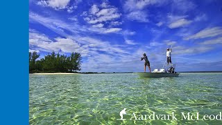 Fly Fishing Delphi Club In The Bahamas [upl. by Maidel]