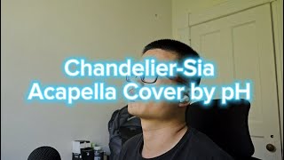 ChandelierSia Acapella Cover by pH [upl. by Zailer]