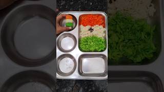 Independance Day Special🇮🇳🇮🇳🧡🤍💚 independencedayspecialshortvideo lunchboxideas tricolorytshorts [upl. by Nnor]