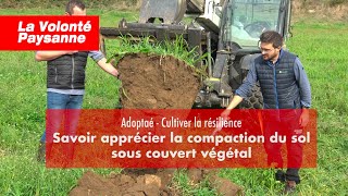 Adoptae Couverts Végétaux Un sol préservé et vivant [upl. by Roseline]