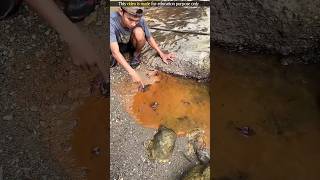 This boy from Japan earns lakhs of rupees from mud [upl. by Ettevey]