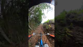 La Palma MTB mtb mtblife lapalma gopro gopromtb gopromax mtblifestyle [upl. by Varney]