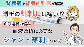 透析の針刺しはやっぱり痛い！？血液透析に必要なシャント穿刺について【腎臓内科医が解説】 [upl. by Egduj368]