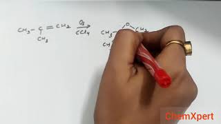 Ozonolysis Class 11 Chemistry Chapter 13 Hydrocarbon [upl. by Manus]