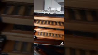 Intérieur accordéon pov accordeon accordion mécanique valse amelie [upl. by Ettena]