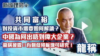 龍稱 共同富裕預示哪些股份可以買？中國為何出不了偉大企業？龍稱披露團隊已經深入研究一個季殘板塊 ｜新城理財 [upl. by Carissa]