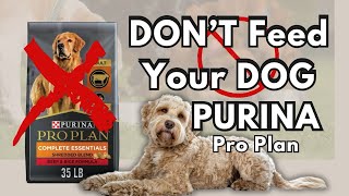 TikTok RUMORS Purina Dog Food Says It’s NOT True  January 2024 [upl. by Ras877]