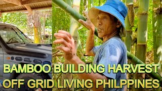 🇵🇭 CONSTRUCTION BAMBOO HARVEST amp CARABAO OX FIELD PLOWING Off Grid Island Family Living Philippines [upl. by Arihat]