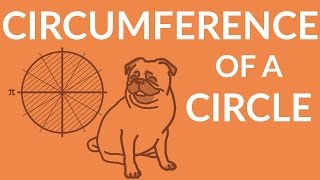 ʕ•ᴥ•ʔ Learn How to Find Circumference of a Circle in 1 Minute  StudyPug [upl. by Erlandson33]