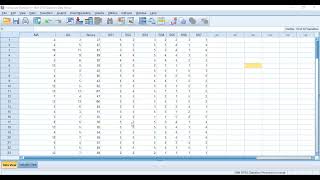 Cronbachs Alpha using SPSS [upl. by Oberon]