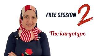 The karyotype Free sessions 2 [upl. by Nylzor]