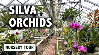 Silva Orchids Nursery Tour  AMAZING Orchid Blooms in Historic Glass Greenhouses [upl. by Eema73]