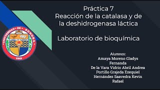 Práctica 7 Reacción de la catalasa y de la deshidrogenasa láctica [upl. by Cumings272]