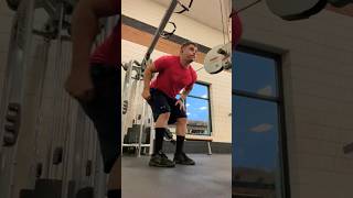 Featured Exercise Cable Tricep Kickbacks [upl. by Strickler]