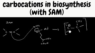 Biosynthesis pathways part 5  carbocations from SAM [upl. by Brechtel]