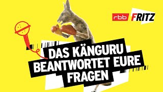 Das Känguru antwortet auf Eure Kommentare  Neues vom Känguru reloaded mit MarcUwe Kling [upl. by Nivi875]