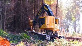 Feller Buncher Tigercat L830C [upl. by Kcid185]