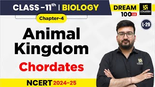 Class 11 Biology Chapter 4  Animal Kingdom  Chordates  L29  Shubham Sir [upl. by Sharity]