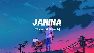 Janina Lofi Version ❣️  Slowed amp Reverb  Challenge  Nachiketa Chakraborty  Use Headphones 🎧 [upl. by Nilcaj]