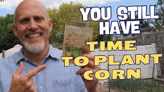 Is It Too Late To Plant Corn in Your Garden [upl. by Zendah]