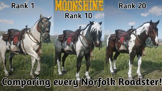 Which Norfolk Roadster is the bestRDR2 Online [upl. by Terry537]