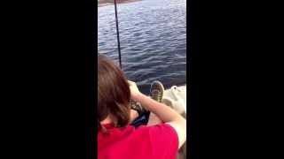 Bass fishing on Belleville pond Rhode Island [upl. by Porta629]