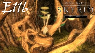 Restoring Order  Investigating Solitude Sewers  Skyrim  Episode 116 [upl. by Dutch]