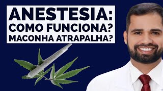 ANESTESIA Como Funciona Quando não pega MACONHA atrapalha canabis maconha anestesia [upl. by Cathi]