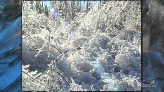 Natural Disaster in Upstate New York A 1998 Ice Storm Retrospective [upl. by Ahsilat]