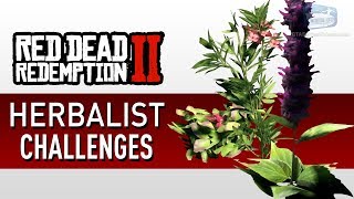 Red Dead Redemption 2  Herbalist Challenge Guide [upl. by Pudens993]