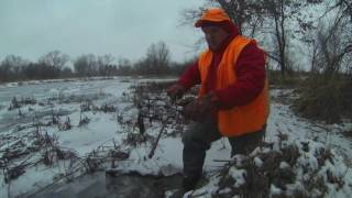 Day 5 muskratminkand weasel trapping [upl. by Solegna]