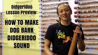 How to make Dog Bark didgeridoo sound  Didgeridoo Lesson Preview [upl. by Nnayelhsa403]