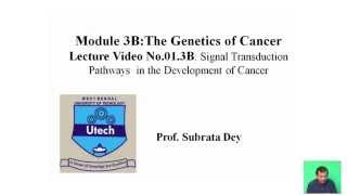 Signal transduction pathways in the development of cancer [upl. by Attennaj]