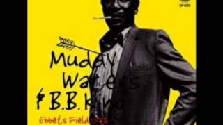 Muddy Waters amp BB King  Ebbets Field 1973  Instrumental With Muddy Intro [upl. by Ruiz]